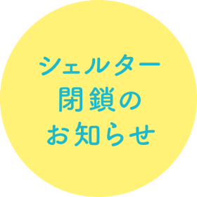 シェルター閉鎖のお知らせ